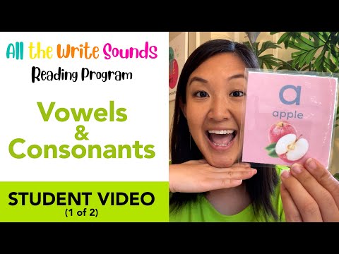 Teach Short Vowels First! - Learn to Read Without Worksheets