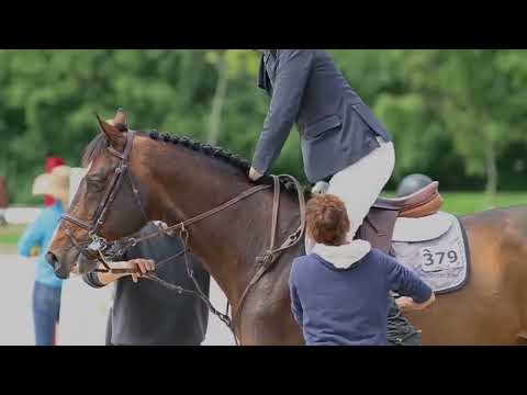 Robin Schulz ft. KIDDO -All We Got//Equestrian