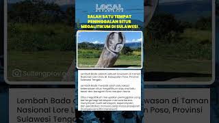 Lembah Bada di Sulawesi Tengah Menyimpan Situs Megalitikum Bukti Kehidupan dan Peradaban Manusia