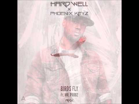 Hardwell X Phoenix Keyz - Birds Fly Ft. Mr. Probz (RMX)