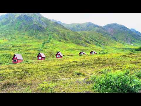 Alaska - Nature Language