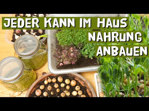 , title : 'Gärtnern im Haus im Winter - Aussaat und Ernte, Microgreens Keimsprossen Kräuter -  Indoorgardening'