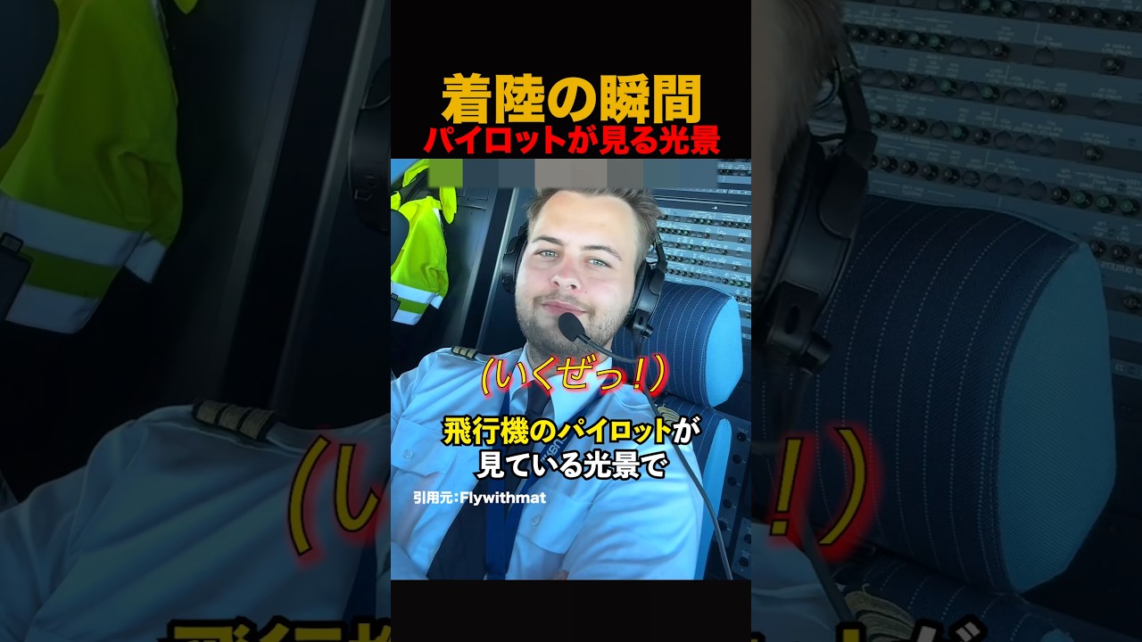 着陸の瞬間パイロットが見る光景#shorts