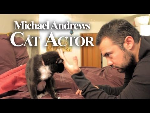 Michael Andrews: Cat Actor