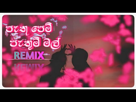 Pathu Pem Pathum mal | Ziro Remix