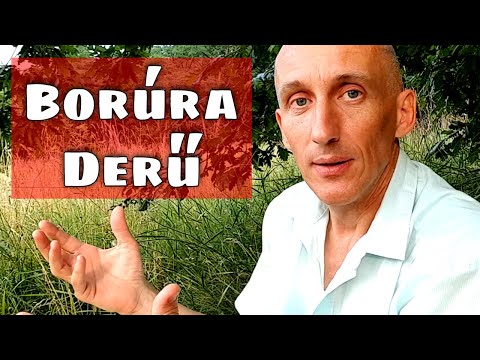 Hogyan legyek optimista? | Pozitív gondolkodás a gyakorlatban