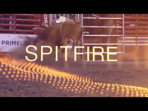 SPITFIRE RETURNS TO BFO