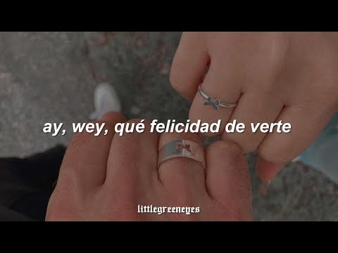 "ay wey, qué felicidad de verte y luego tus labios besar" || tiktok (letra)