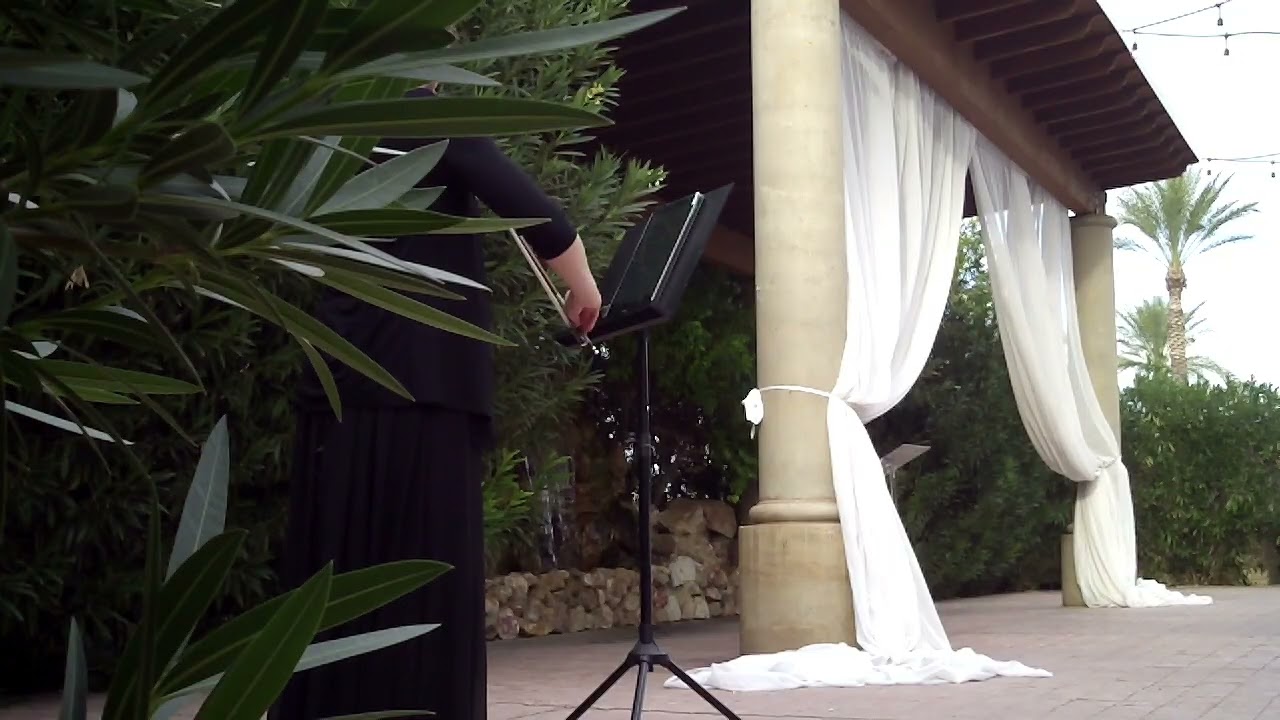 Promotional video thumbnail 3 for Sarah Gripp Violinist