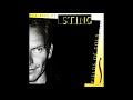 Why Should I Cry For You - Sting