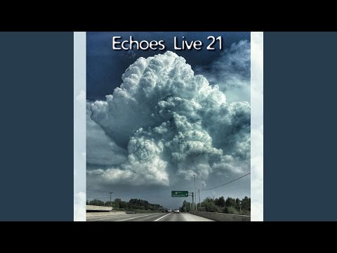 Zenlike Creature (Live On Echoes) (Live)