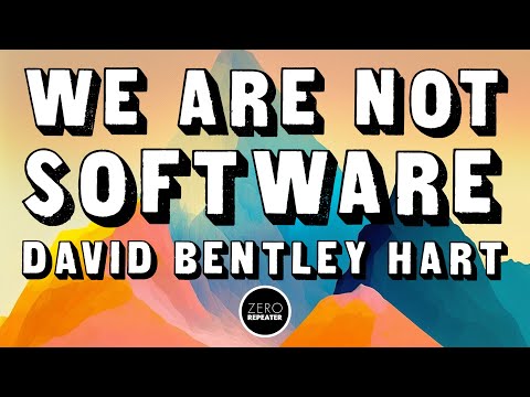 We Are Not Software: David Bentley Hart with Acid Horizon