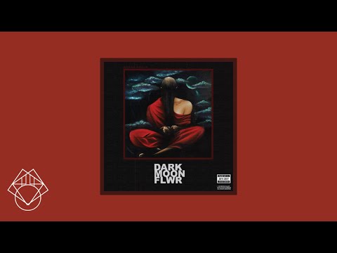 Shane Eagle • Lost in the Shade • ft • Kota the Friend (i)