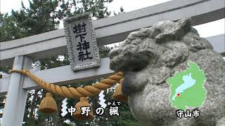 淡海をあるく　中野の楓　守山市