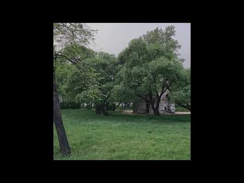 [FREE] Boofpaxkmooky x Summrs x Destroy Lonely Type Beat *iFeellikecashh* (Prod. Shordi)