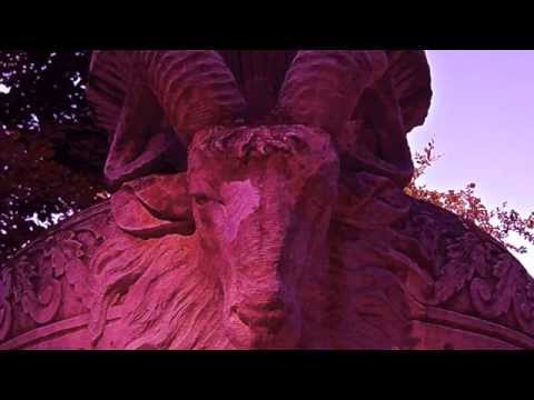 She's Not Real - "If You Leave Me One Day Silently"