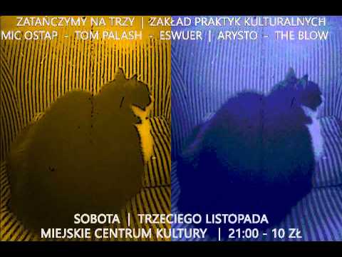 Czy kocury przyjdą?