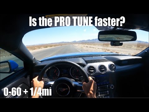 2019 Mustang EcoBoost Cobb Stage 1 vs PD Tune! | Acceleration Tests