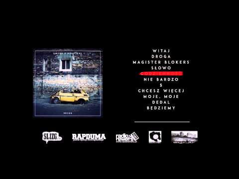 Simson / Night Owl - Codzienność | RECON 2015