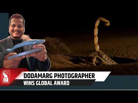 Sindhudurg’s Sitaram Raul Wins International Wildlife Photography Honour