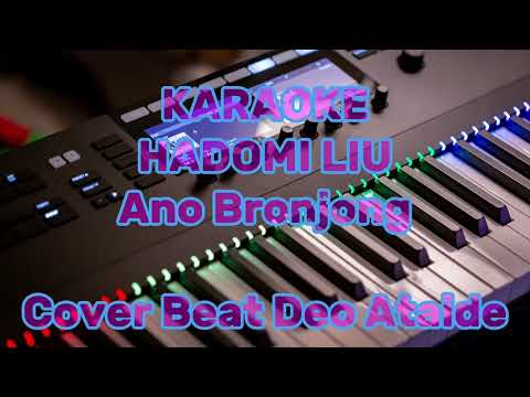 Hadomi Liu O Karaoke