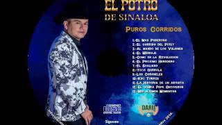 El Potro de Sinaloa - Puros Corridos Disco Completo **Exclusivo** 2016