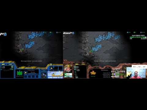 [SC:R] (1) Bisu vs Larva PvZ @ Circuit Breaker [2017-08-02]