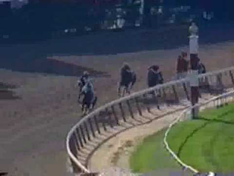 Point Given - 2001 Belmont Stakes