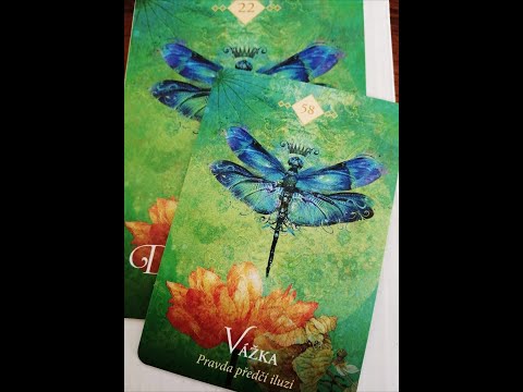 Malé zamyšlení na středu 4. října 2023