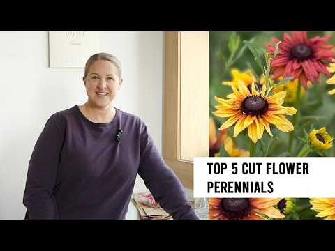 Top 5 Perennials for Cut Flowers : Sunshine and Flora Flower Form