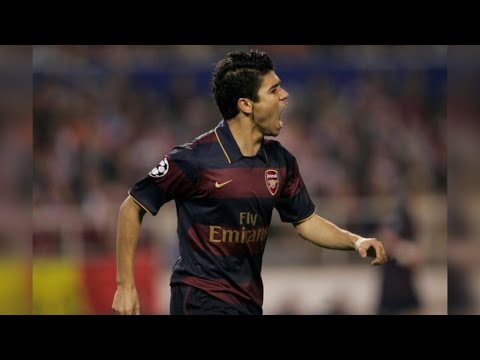 Eduardo da Silva 2007/08 - Dudu