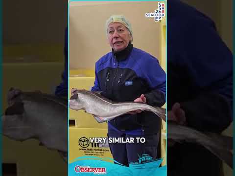 How salt fish is made