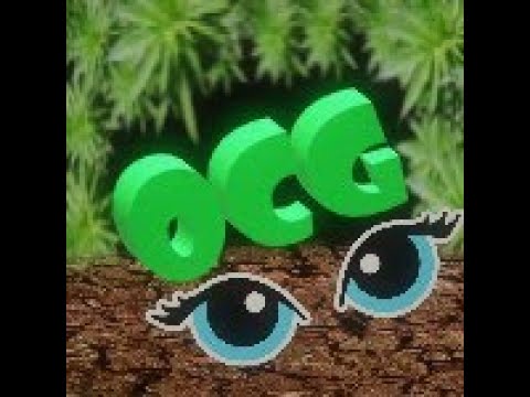 Diablo II Chanted Cows - Level 18 Paladin Smiter