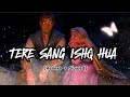 Tere Sang Ishq Hua Slowed Reverb Arijit Singh Neeti Mohan Yodha 1 Million Lo Fi