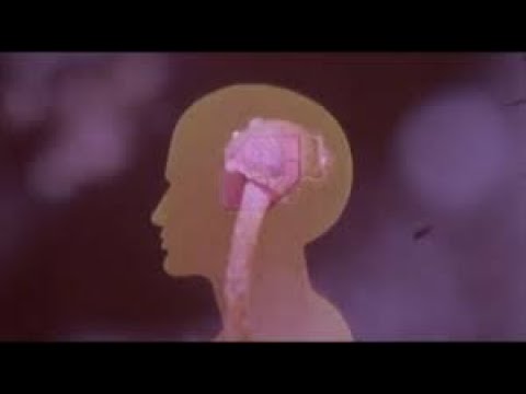 LiL BO WEEP - CAN'T LIVE W MYSELF (OFFICIAL MUSIC VIDEO)