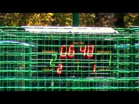 11 Angry Bees – Artjoker