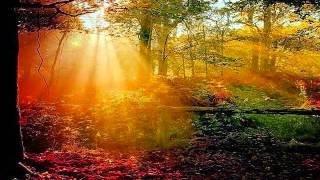 THE OTHER SIDE OF THE SUN - (Lyrics)