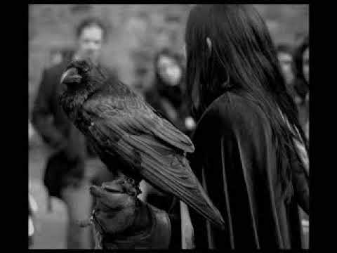 the thirst is taking over -skillet