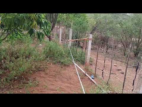 Chuva 🌧️ no Carirí , município de São João do tigre PB 