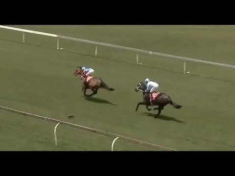 Dan The Lad  - WSB Grand Series Match Race