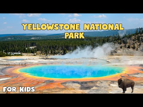 Yellowstone National Park | Educational Video for kids