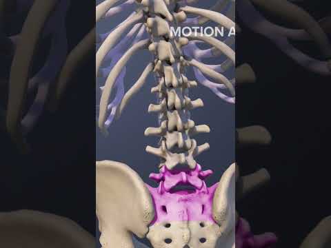 Functions of the L5-S1 Spinal Motion Segment