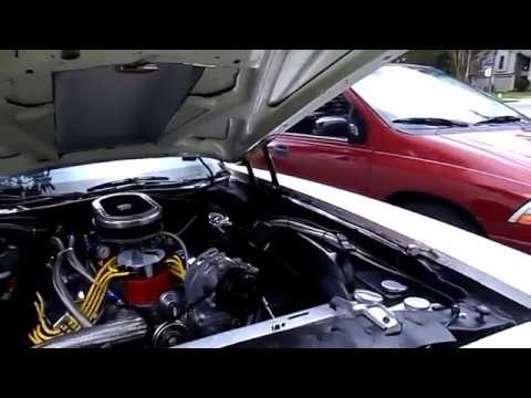 1979 Ford Thunderbird