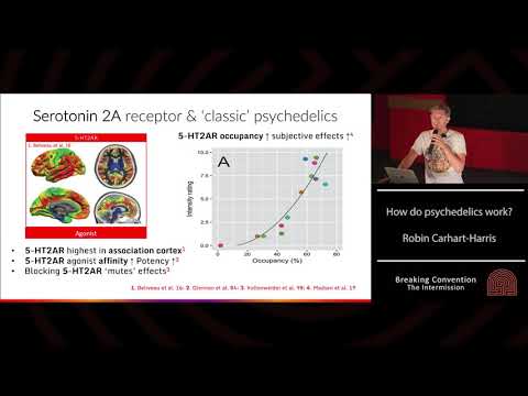 How do Psychedelics work? Robin Carhart - Harris