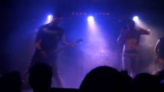 Shredhead - "Becoming The Animal" 21/12/12