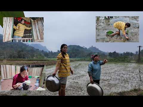 Duyen helped In plant rice, and Duyen spent her first night on the farm.