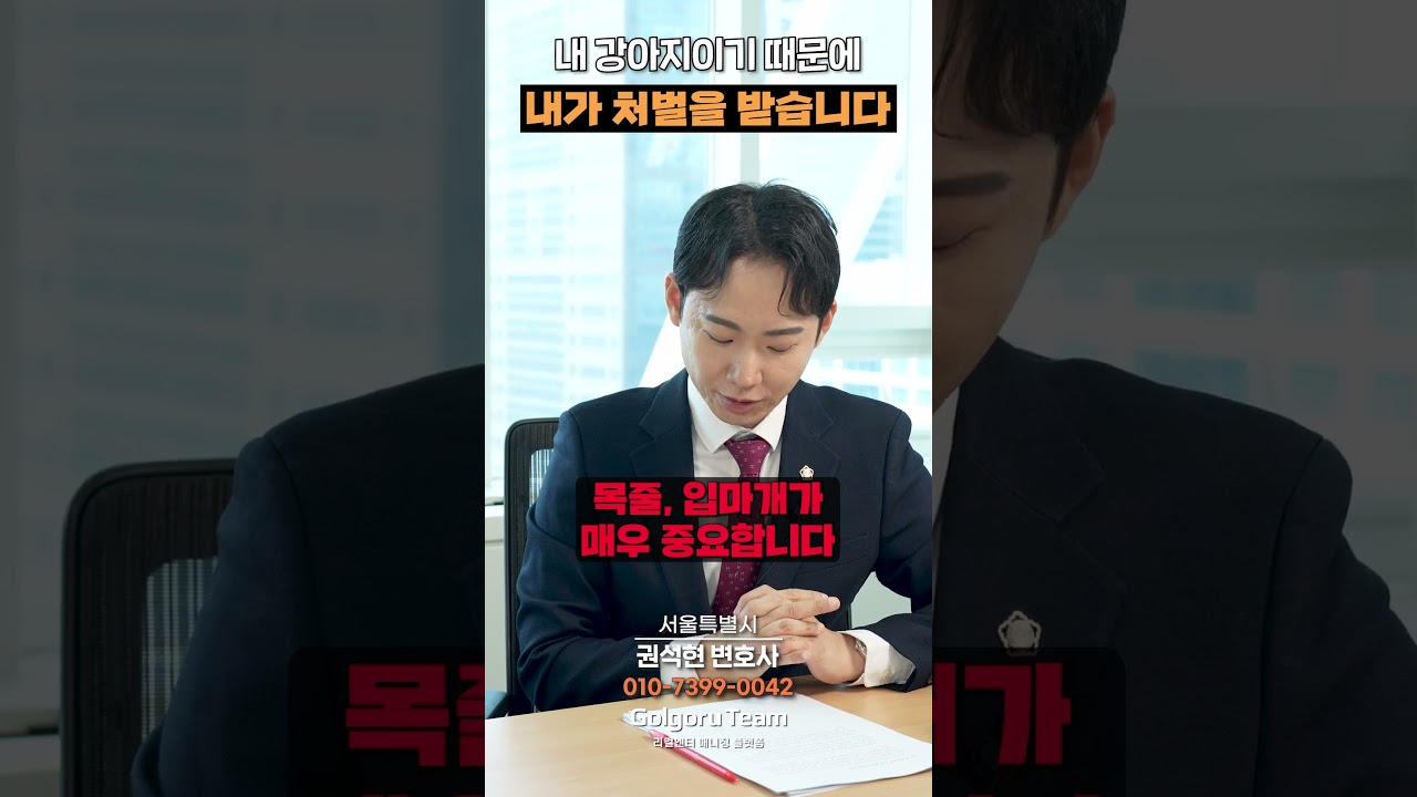 강아지 사고, 견주가 반드시 책임져야 하는 이유 ?⚖️