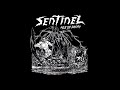 Sentinel Age Of Decay 2023 Full Album
