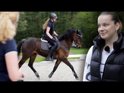 Springpferd wird wieder erfolgreich - Wieder Freude am Reiten nach Check auf Hof Eicheneck