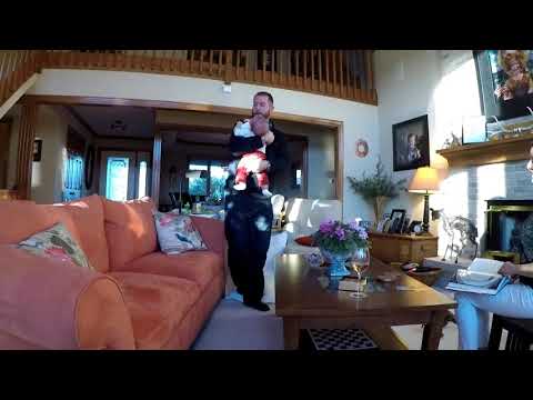 Pequignot, Dollens Thanksgiving